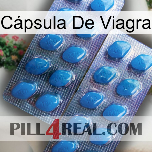 Cápsula De Viagra viagra2.jpg